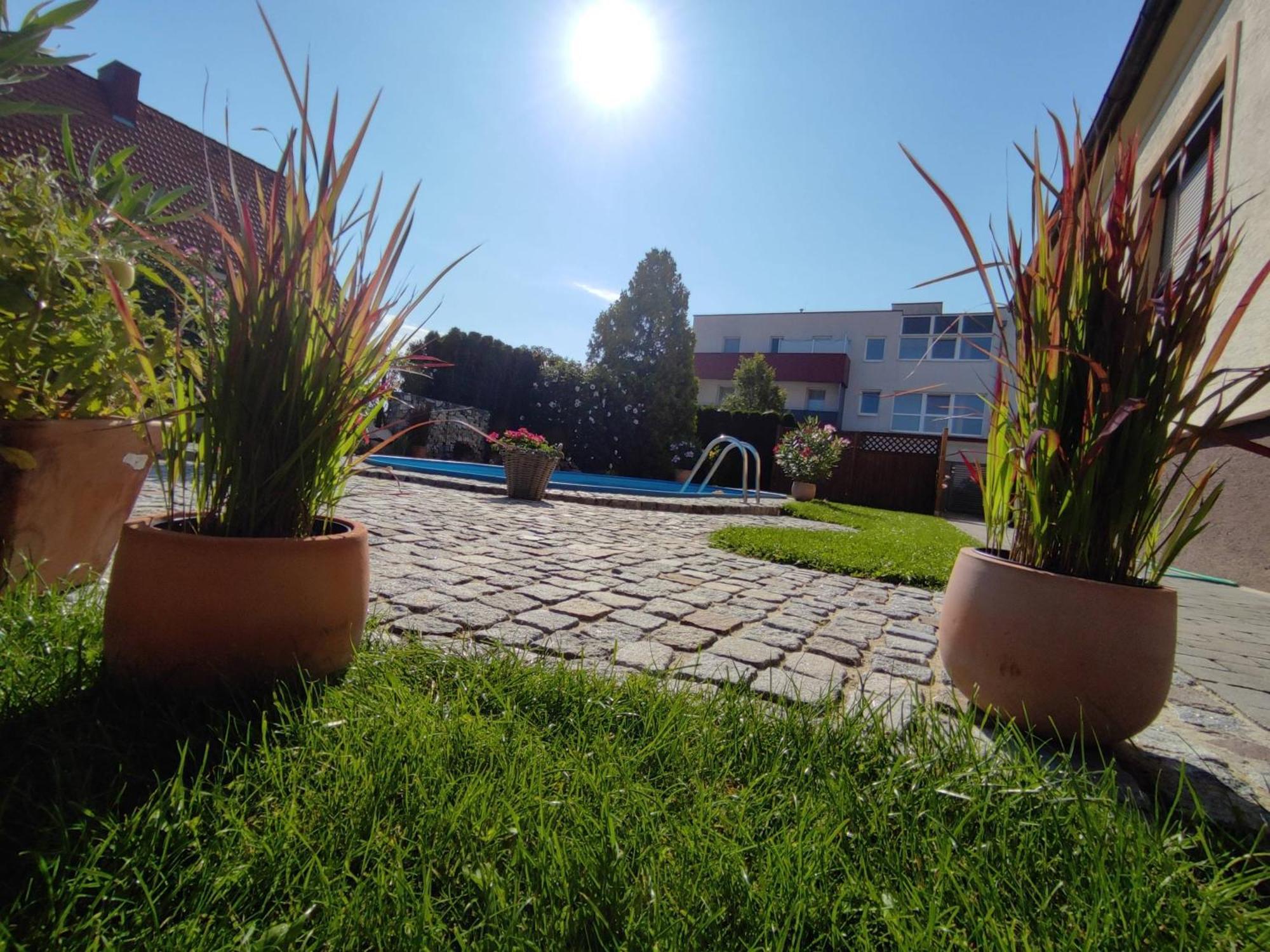 Appartement Ferienhaus Sonnenhain Sollenau Dış mekan fotoğraf