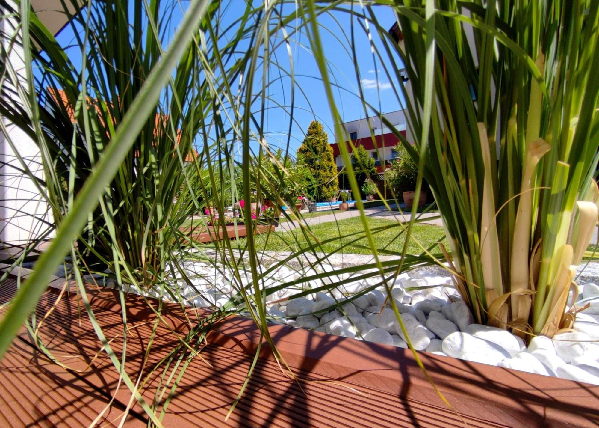 Appartement Ferienhaus Sonnenhain Sollenau Dış mekan fotoğraf