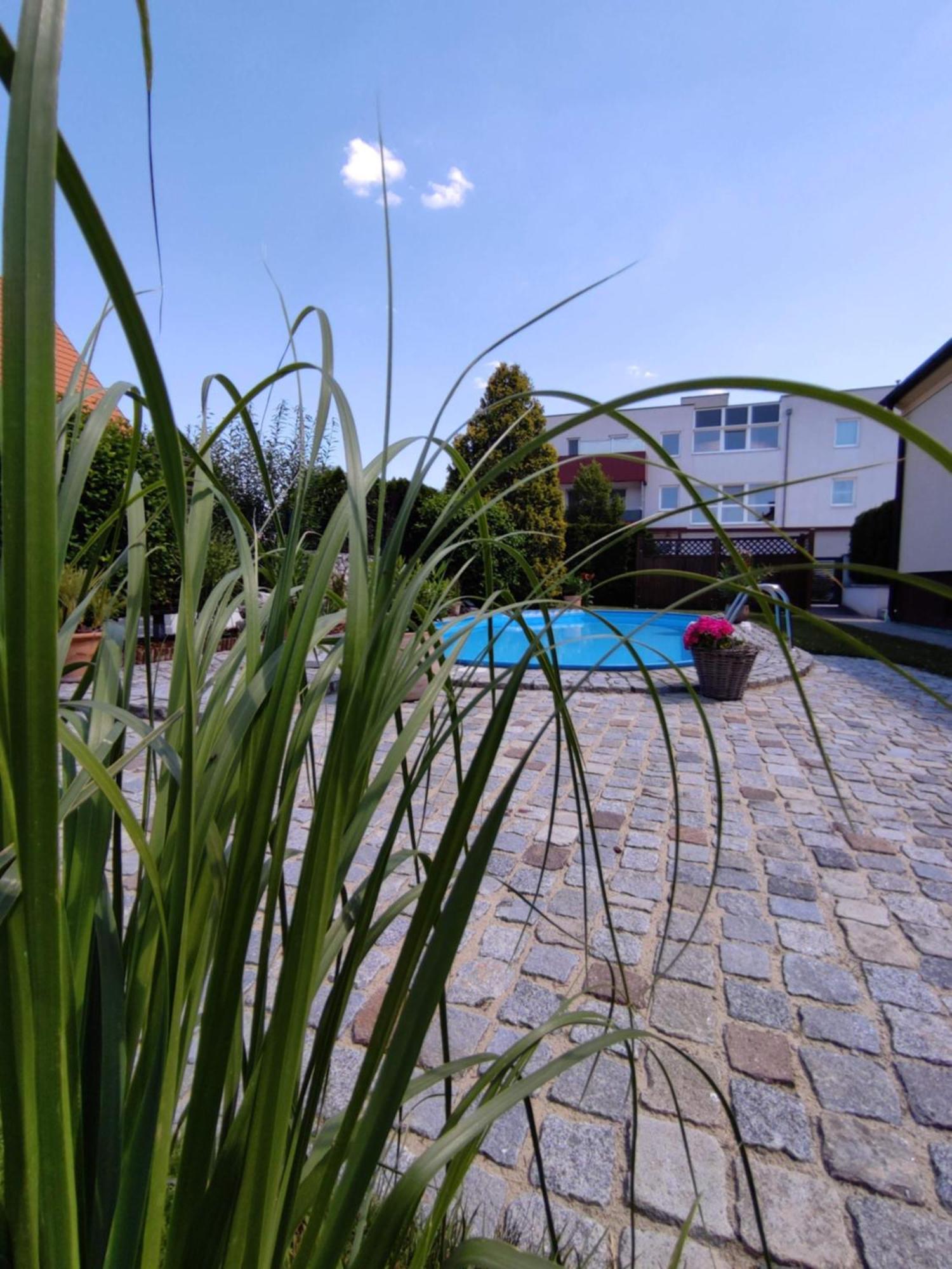 Appartement Ferienhaus Sonnenhain Sollenau Dış mekan fotoğraf